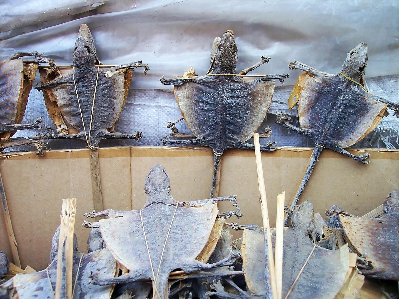 Chinese Traditional Medicine Market